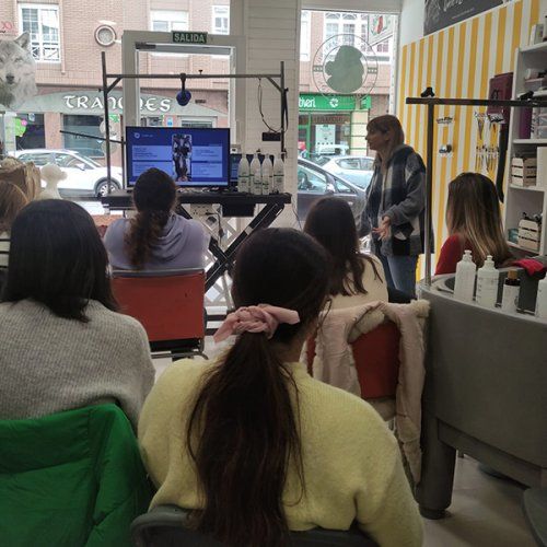 Cursos presenciales peluquería canina Alhauín de la Torre