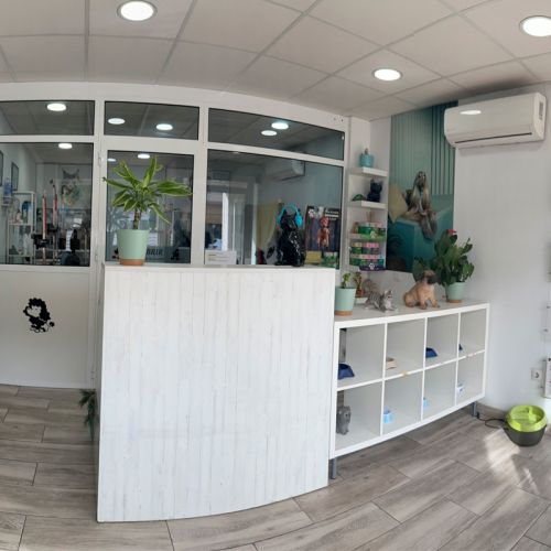 Centro de estética Canina en Alhaurín de la Torre